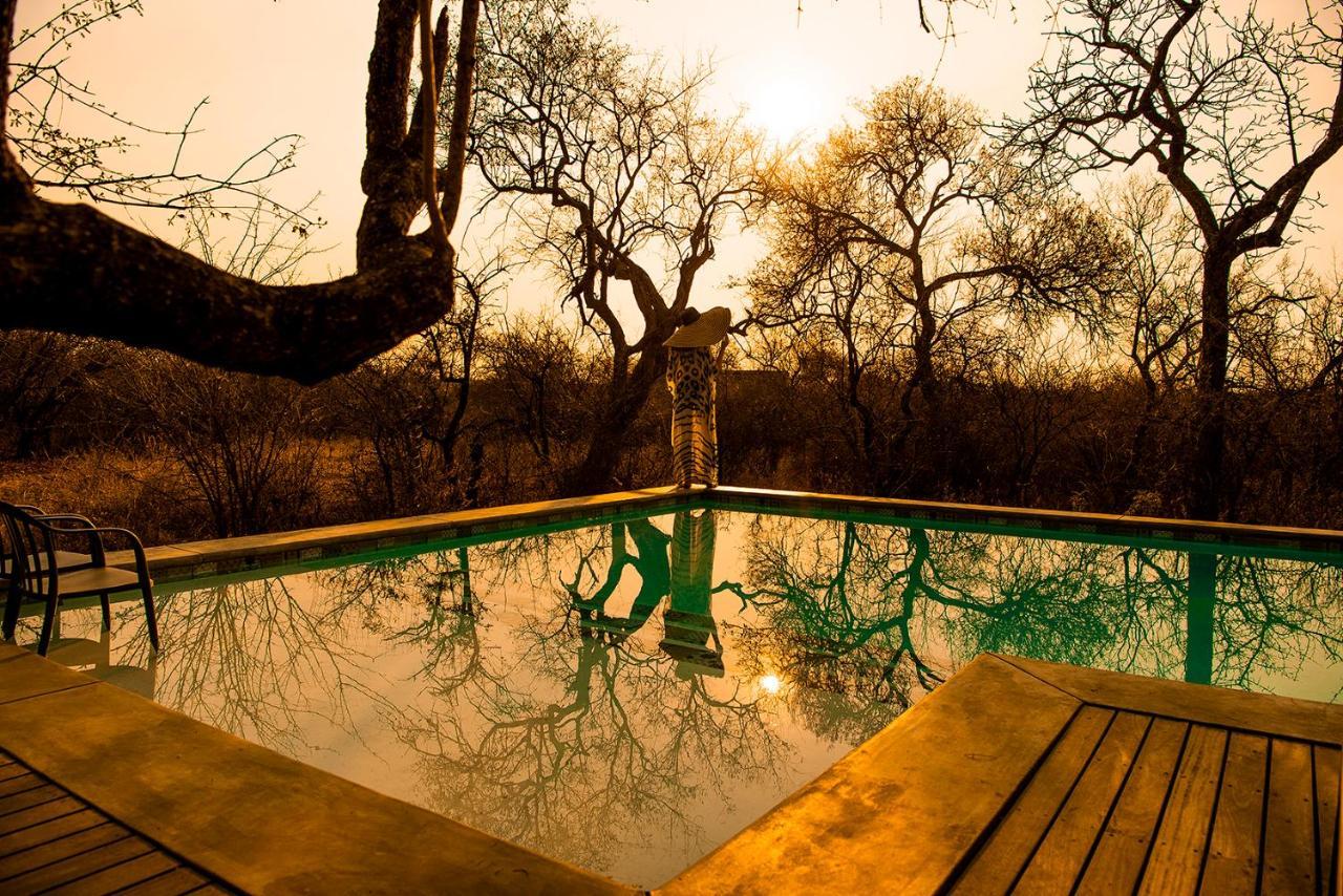 Safari Moon Luxury Bush Lodge Hoedspruit Exteriér fotografie