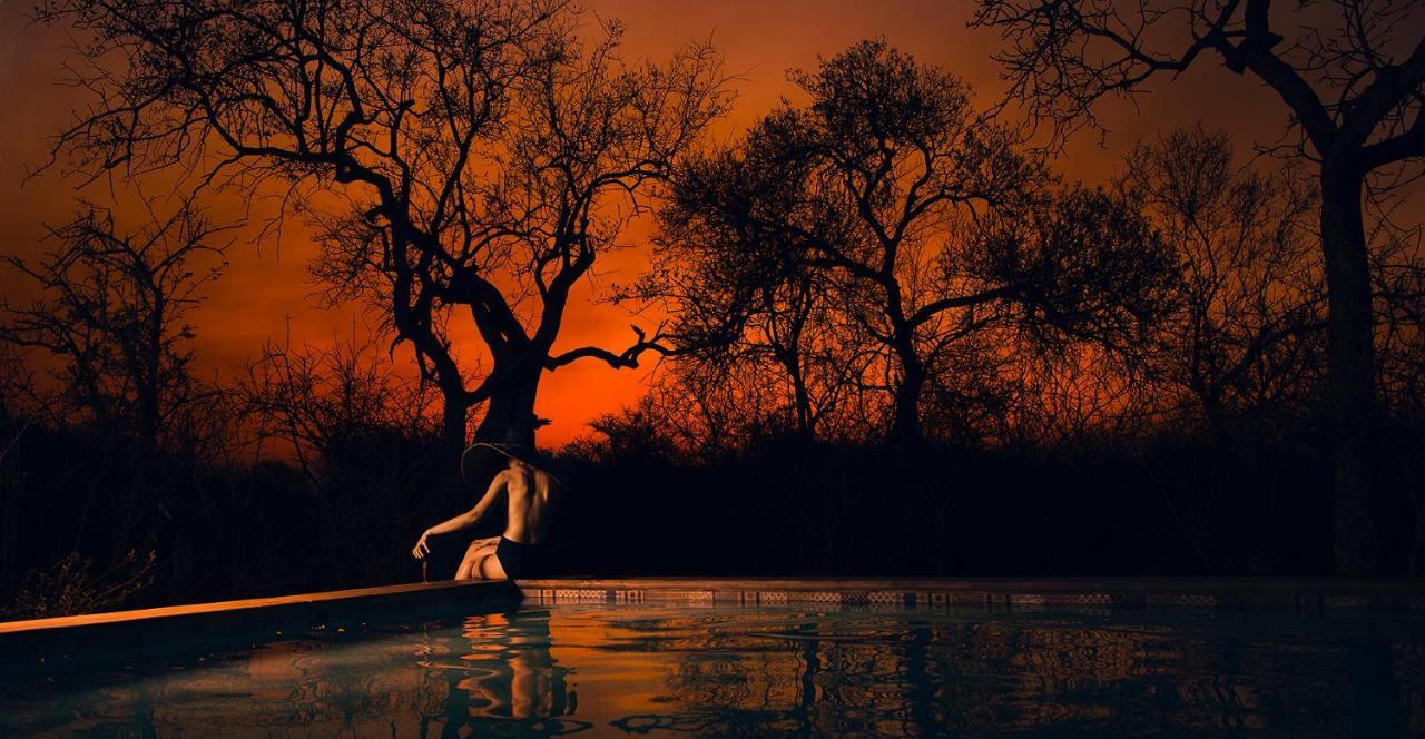 Safari Moon Luxury Bush Lodge Hoedspruit Exteriér fotografie